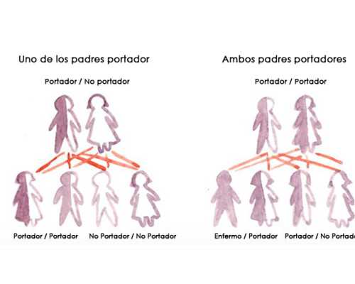 试管婴儿多少钱青岛？