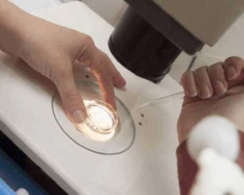 骆驼奶粉一盒多少钱（市面上骆驼奶粉的价格对比）