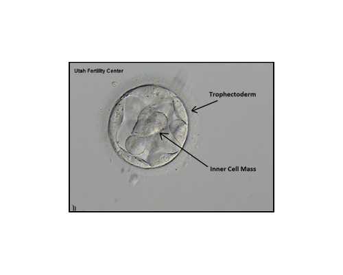 最低价格代怀,北京助孕机构联系方式电话是多少啊