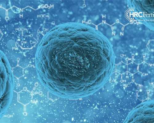 青岛30天生育奖励假遇到法定节假日会顺延吗？
