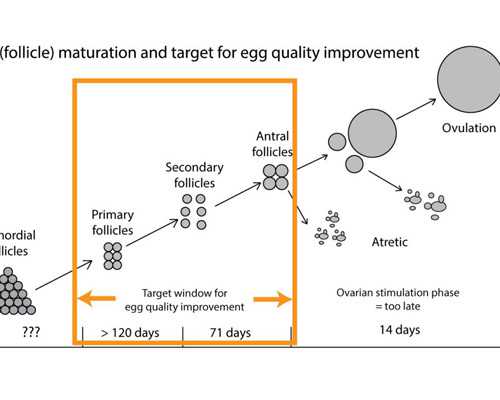 青岛试管成功助孕医院,青岛妇幼保健院试管地址，青岛妇幼保健院怎么样