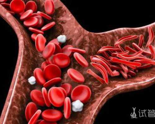 供卵医院排名,湛江助孕试管婴儿成功的关键是什么？