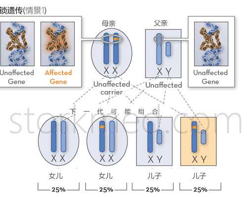 代生联系电话,天津中心妇产助孕医生天津中心妇产助孕中心哪个大夫好