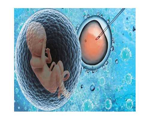 培养健康习惯，探索1-3岁儿童健身运动的奥秘！