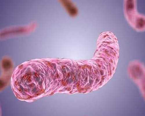 专业正规代怀,淮安市试管婴儿淮安试管助孕公司