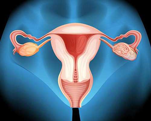 宝宝教育：从0到1岁的关键步骤