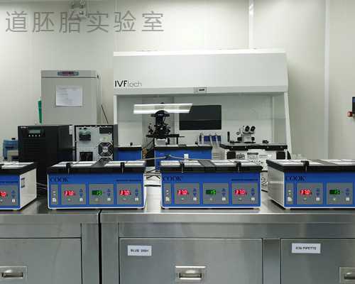 代孕相关公司,义乌哪家医院做试管婴儿助孕技能好？