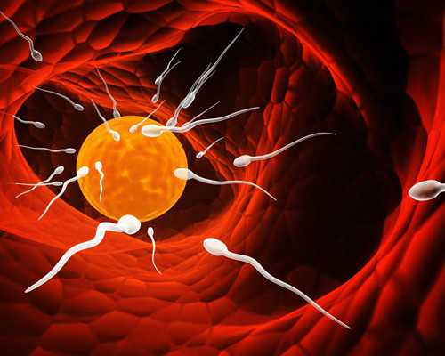 青岛助孕好的机构,青岛借卵生男孩-助孕机构价格的构成