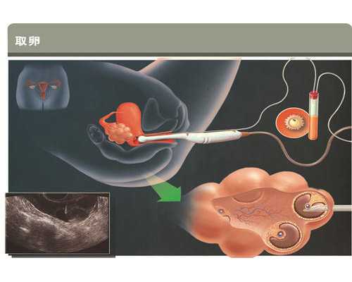 色护士网站 适合护士的口红颜色